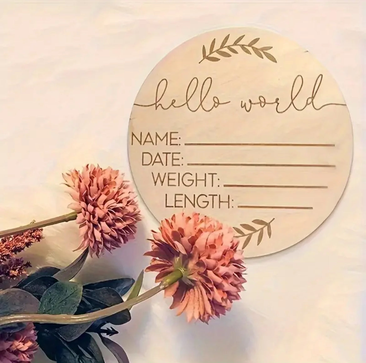 'Hello World' Wooden Plaque