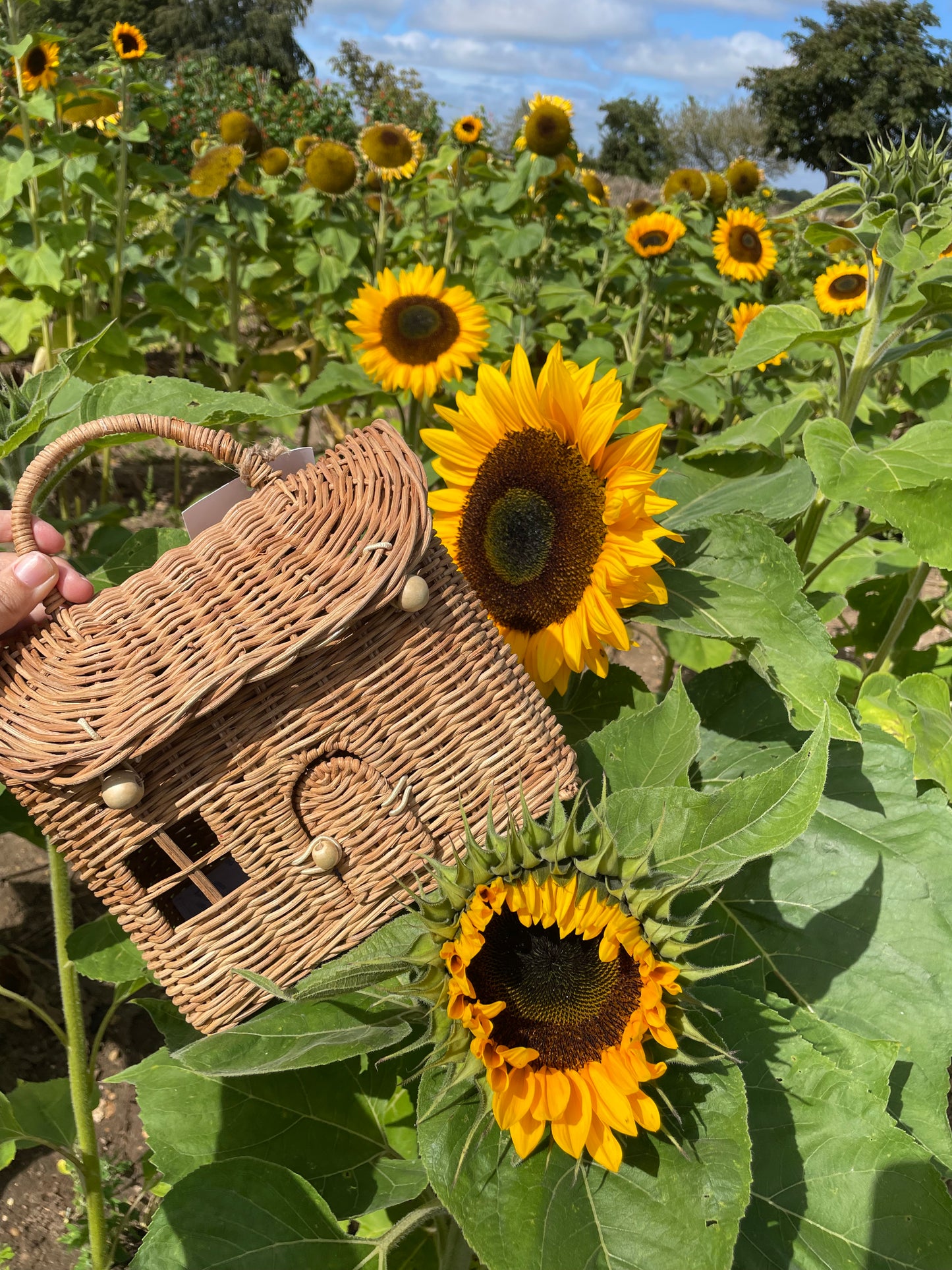 Panier maison en rotin