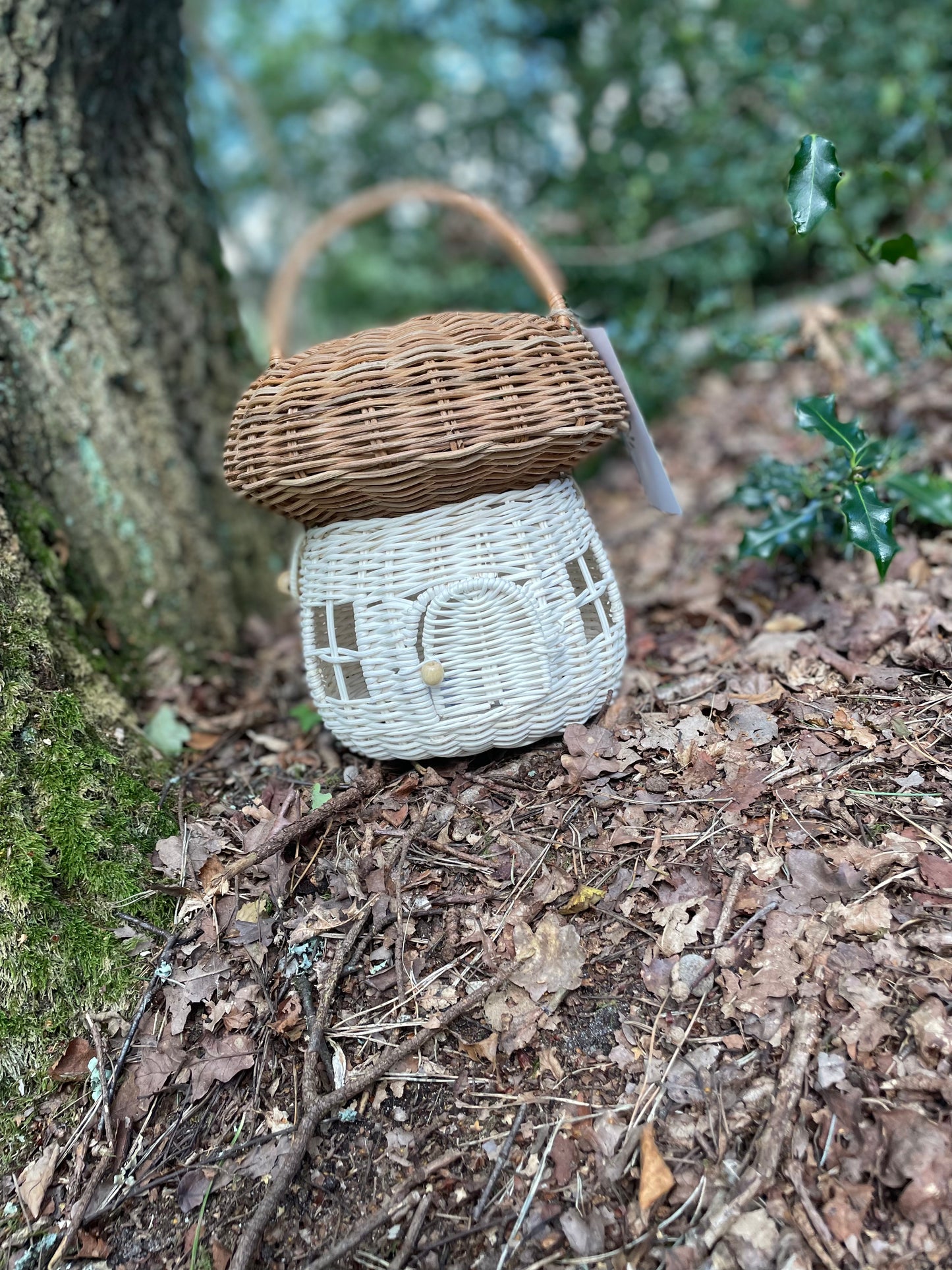 Large Round Navy/Natural Baskets – Far West Fungi