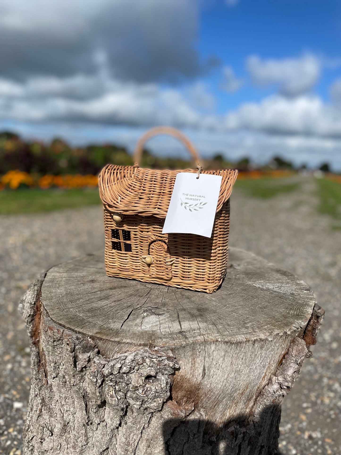 Panier maison en rotin